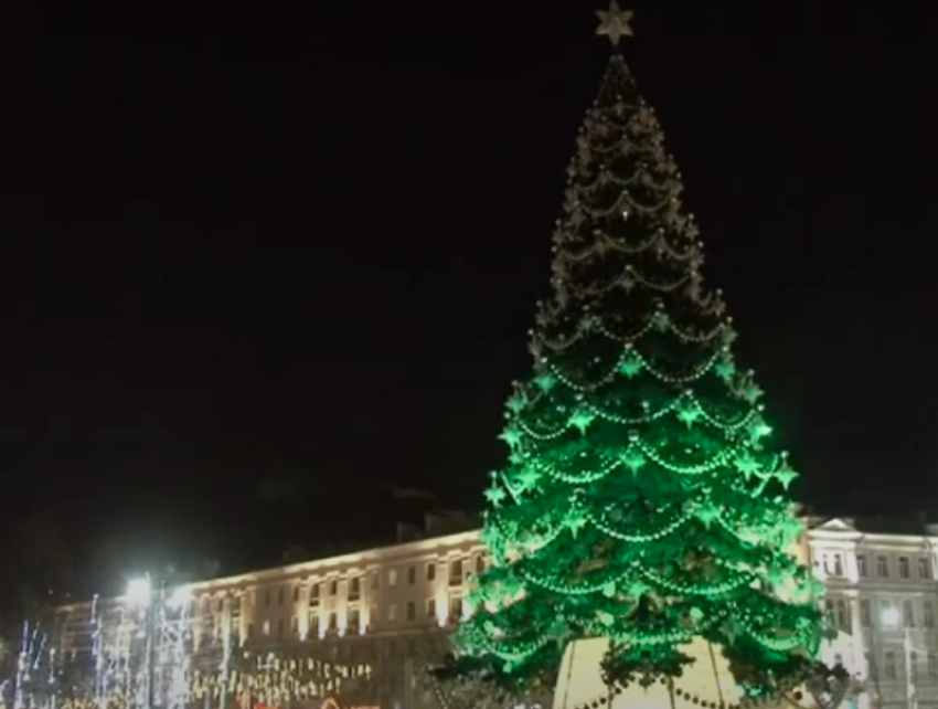 В Гродно приземлился дракон — в центре города зажгли новогодние елки (видео)