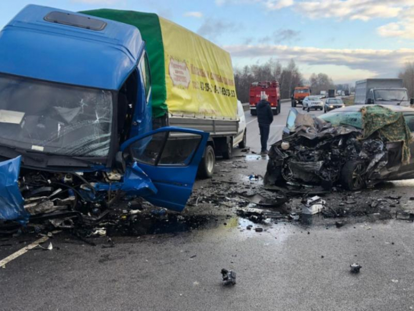 Подробности о жуткой смертельной аварии на воронежской трассе рассказала полиция