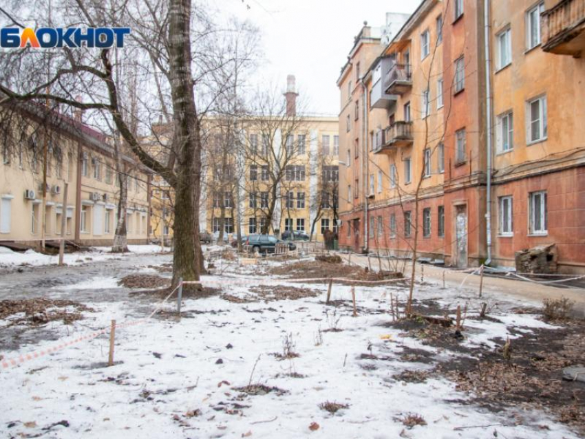 О крепком ветре в Воронежской области предупредили синоптики 