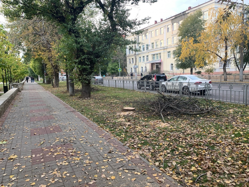 Брошенные ветви и опилки испортили убранство воронежского сквера 