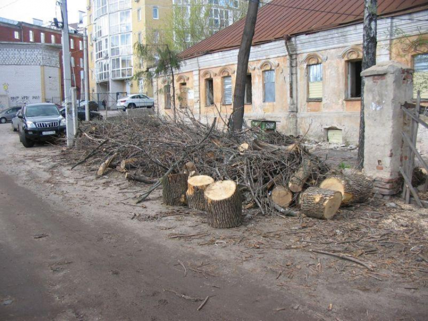 Старинный Дом Гарденина передали в государственную собственность в Воронеже