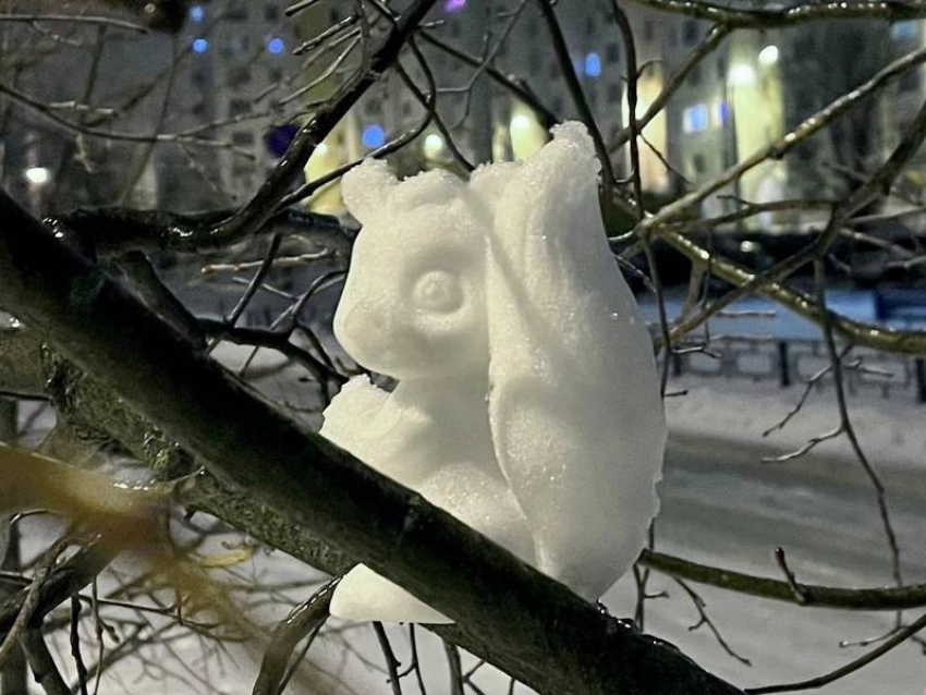 «Развлекались как могли»: воронежцы показали армию белок