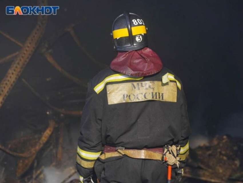 Тело 8-летнего мальчика нашли в сгоревшей квартире воронежской многоэтажки