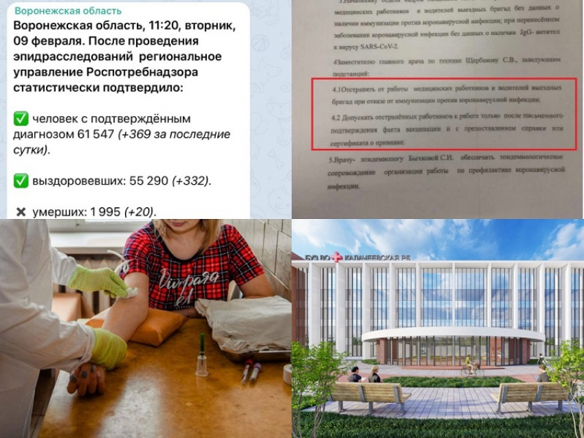 Коронавирус в Воронеже 9 февраля: +369 зараженных, 20 смертей и отстранение медиков от работы 