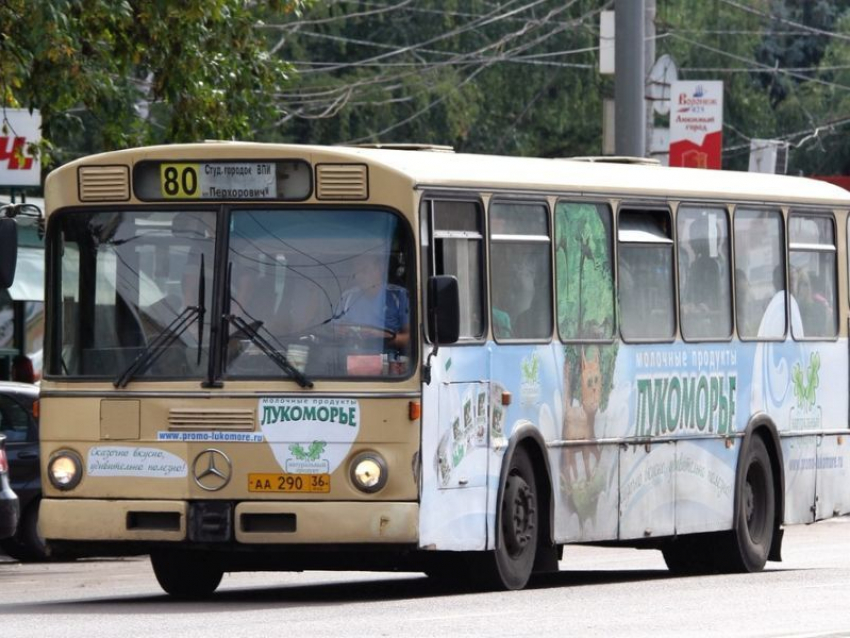 Федеральные компании хотят забрать себе пассажирские перевозки Воронежа