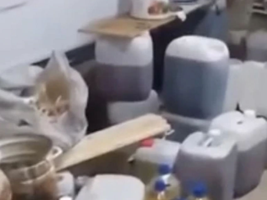 Незавершенная стройка и полтора миллиона: суд конфисковал имущество у воронежского наркобарона