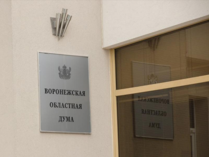 Воронежские депутаты поддержали законопроект о введении обязательных QR-кодов