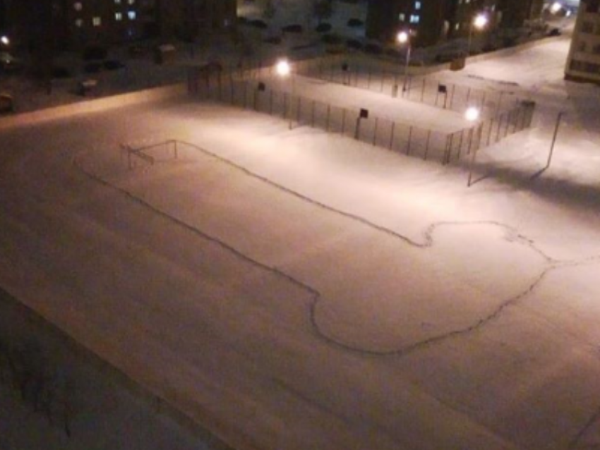 Огромный пенис появился на школьной площадке в Воронеже