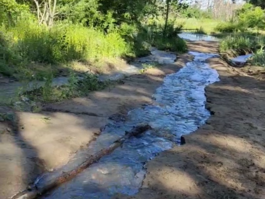 Мэрия Воронежа прокомментировала затопление Северного леса