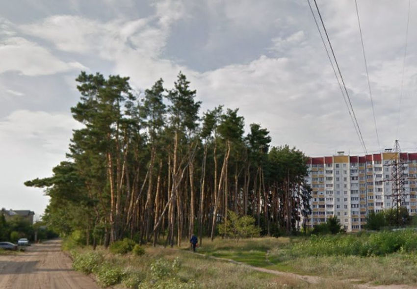 Ночь на улице провел пропавший 86-летний пенсионер в Воронеже