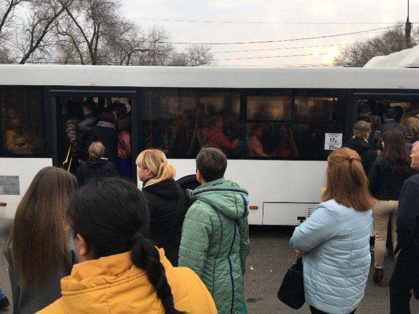 Скорость приезда на работу на автобусе и машине сравнили в Воронеже