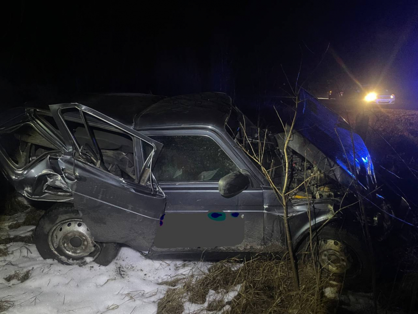 Последствия смертельного ДТП с «Ауди» показали на фото в Воронежской области