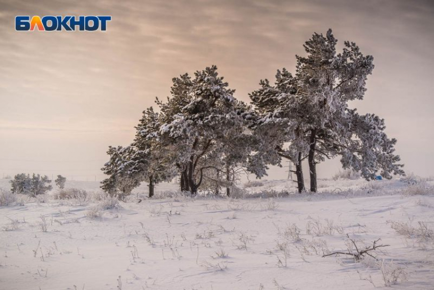 Охранные границы древнего курганного могильника утвердили в Воронежской области