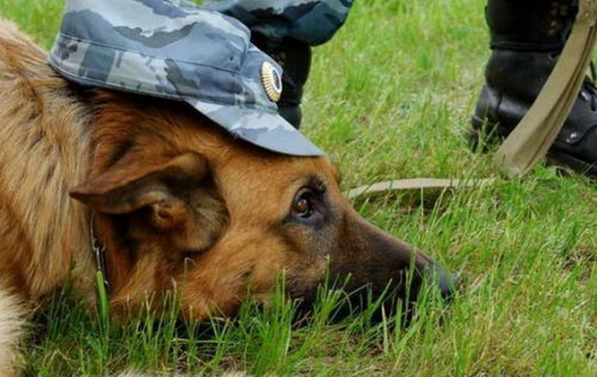 В Воронежской области на таможне мужчина проглотил шприц с наркотиком