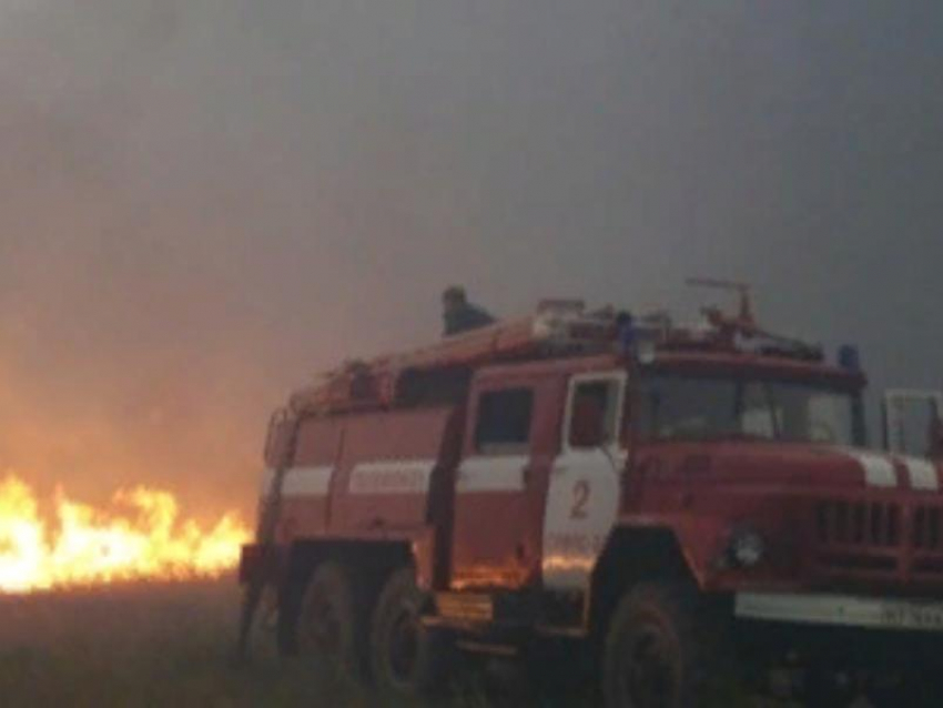 Пожар уничтожил восемь дачных построек в Воронежской области 