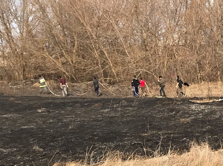 Подростки куртками тушили крупный пожар на поле в Воронежской области 