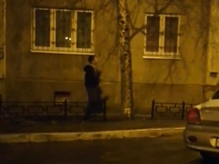 Громкая драка с деревом попала на видео в Воронеже