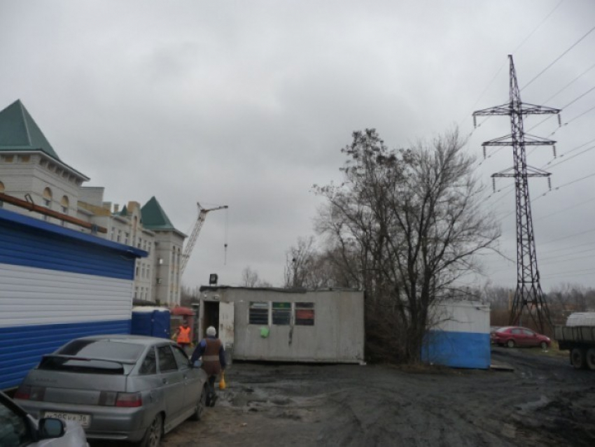 Галина Кудрявцева - Александру Гусеву: «Объясните мне будущее тех детей, кто будет ходить в детский сад рядом с ЛЭП»