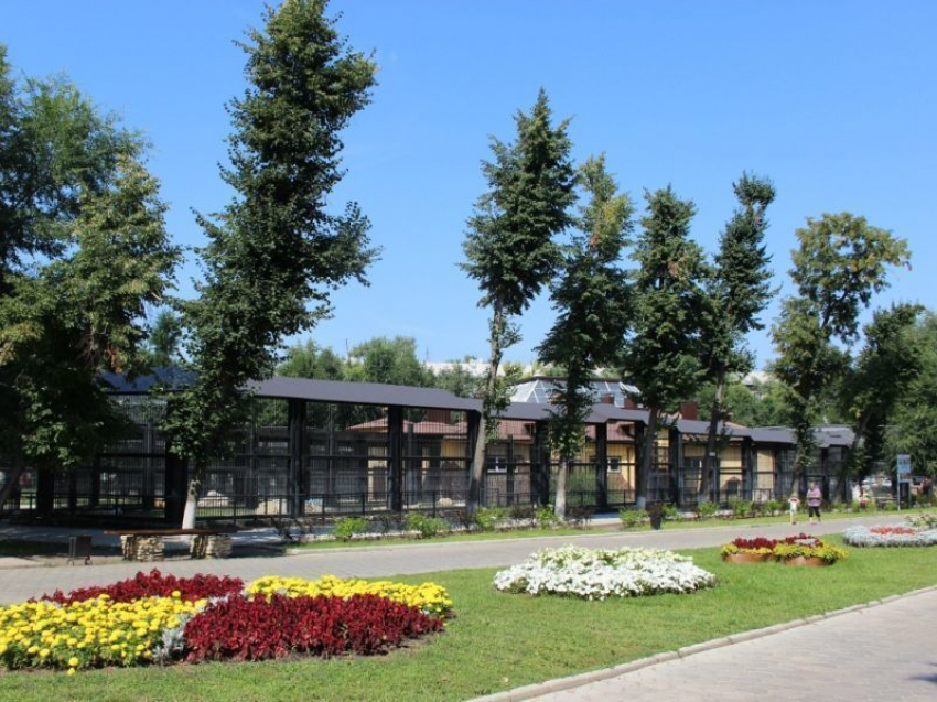 4 октября Воронежский зоопарк от празднует День рождения