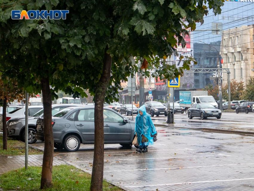 Грозы и сильные дожди придут в Воронежскую область