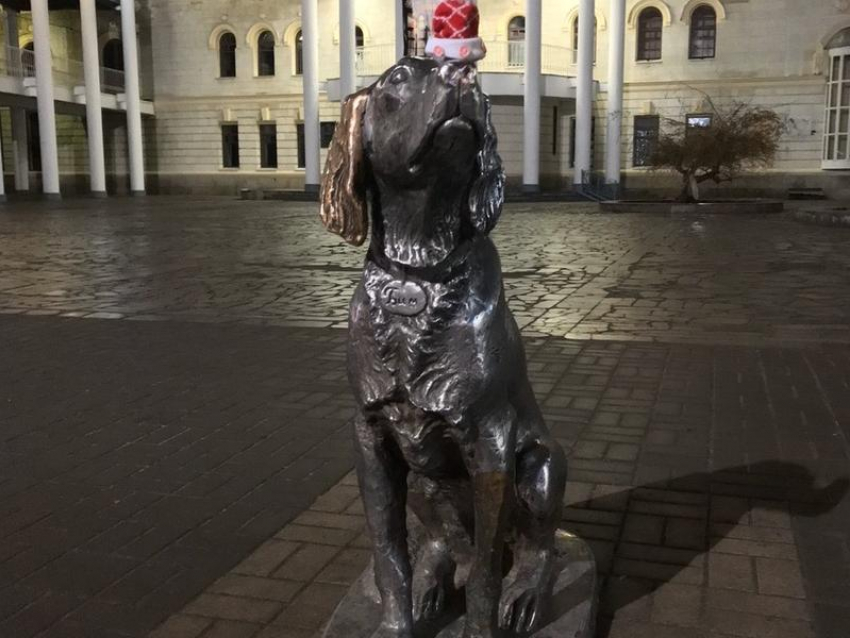 Памятник Белому Биму мило утеплили в центре Воронежа 