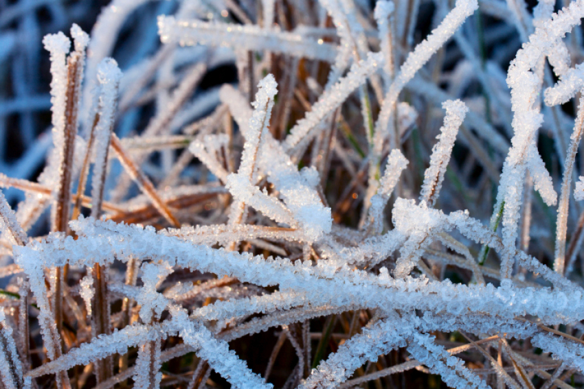 В Воронежской области на выходных будет до -8 мороза