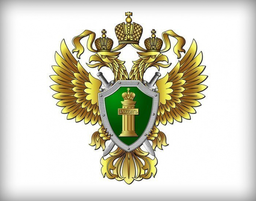 Как воронежцам уберечься от мошенничества