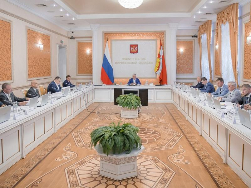 Александр Гусев признал проблемы в освоении двух ключевых нацпроектов в Воронежской области