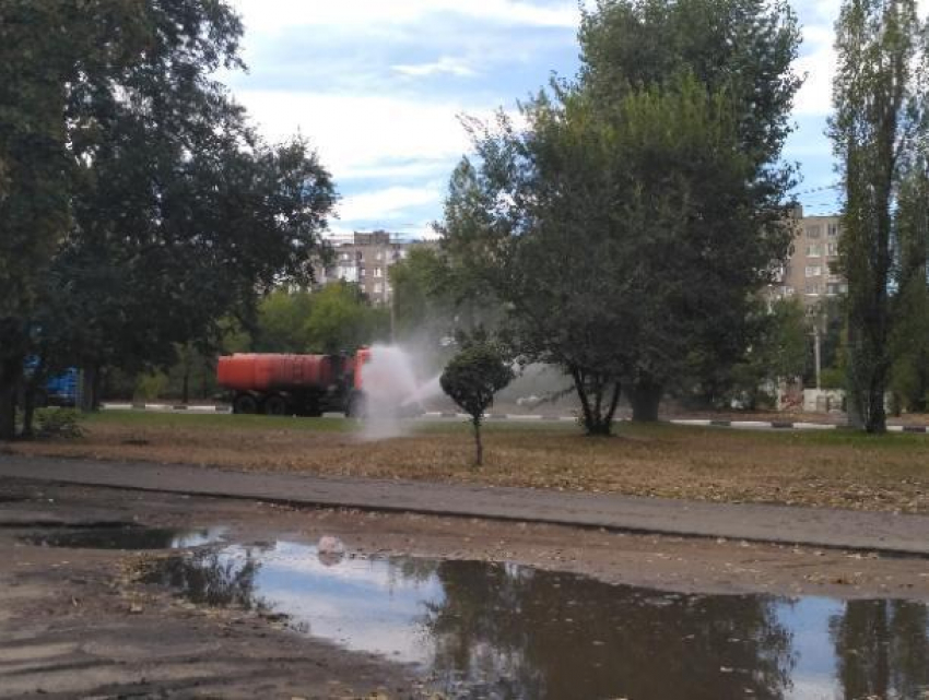 Коммунальщиков застали за спорным мокрым делом в Воронеже