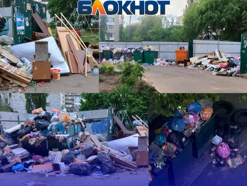 Крысы, свалка в 10 метрах от песочницы и стабильный бардак на набережной: свежая порция мусорных кошмаров Воронежа