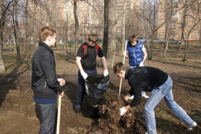 В Воронеже подведены итоги месячника благоустройства