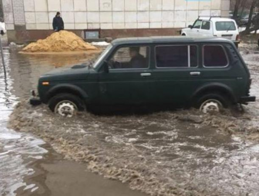 В Воронеже сфотографировали водоплавающую «Ниву"