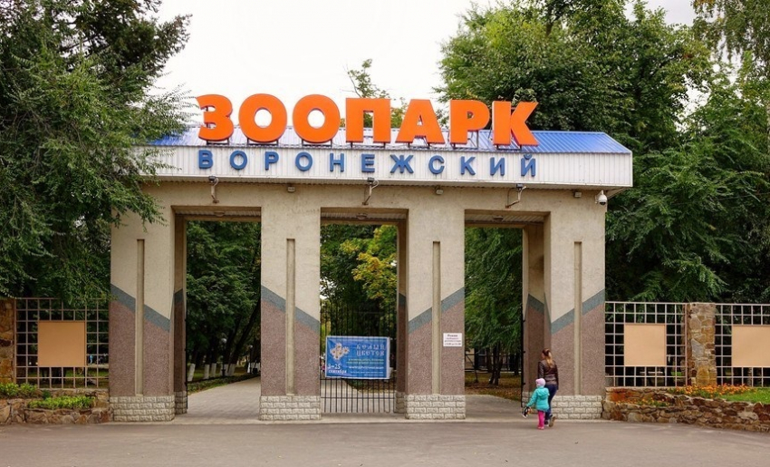  Летом воронежцы смогут увидеть обновленную коллекцию птиц Воронежского зоопарка