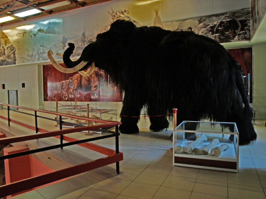Воронежский музей «Костенки» приглашает на открытие сезона под рев мамонта