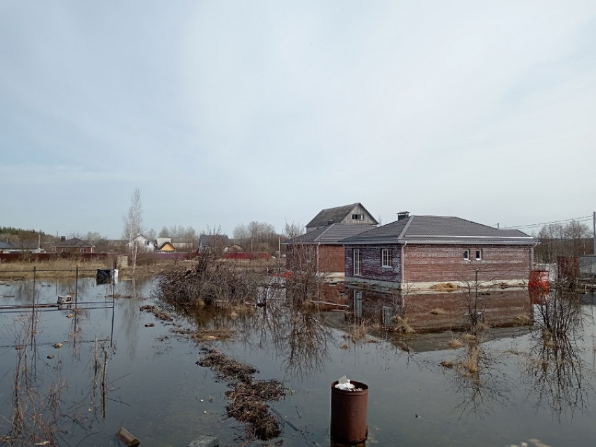 «Дома затопляет всё больше и больше»: последствия бездействия властей наглядно показали под Воронежем 