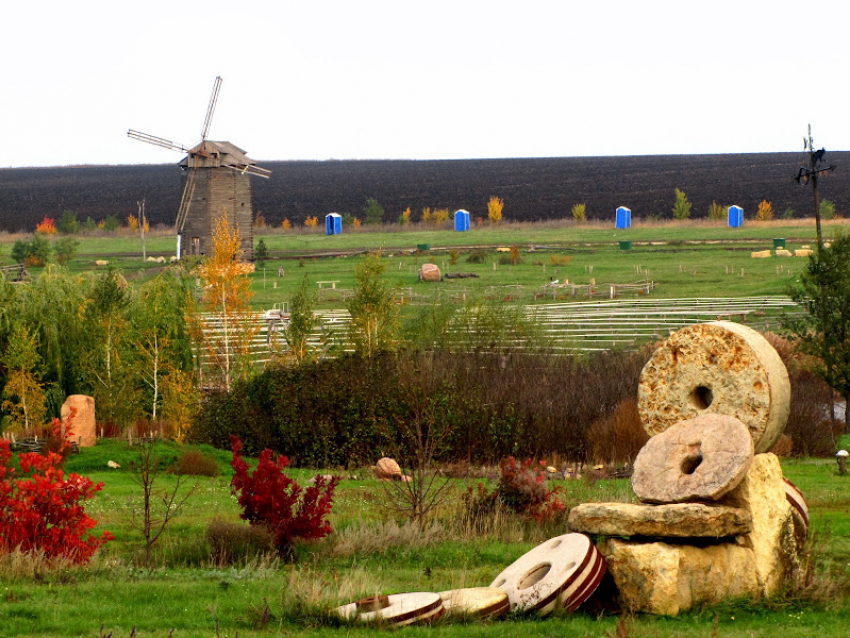 В сгоревшем Ломовском парке под Воронежем создадут туристический комплекс