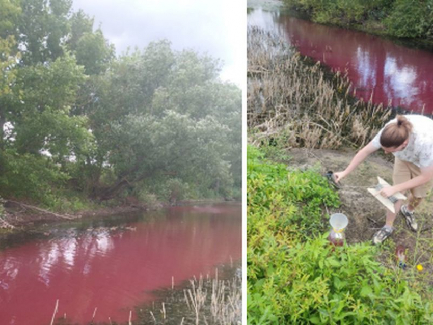 Очередную «кровавую» реку сфотографировали в Воронежской области