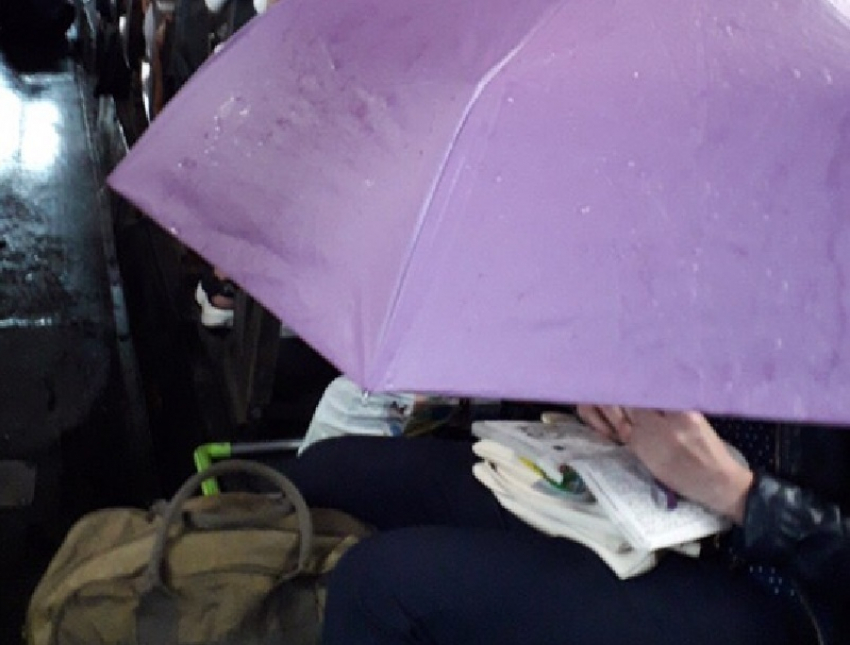 Пассажирка автобуса спасалась от дождя в салоне зонтом в Воронеже