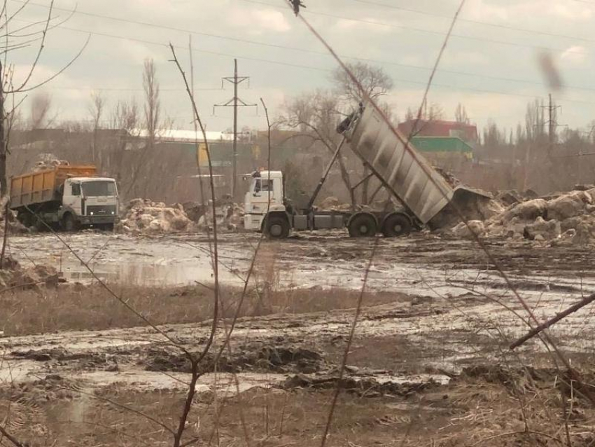 Снег из парка Дельфин снова повезли на необорудованную территорию в Воронеже