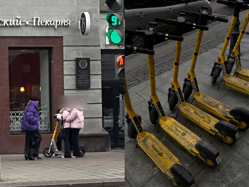 Вместо подснежников: в Воронеже с приходом тепла зацвели бутоны самокатчиков