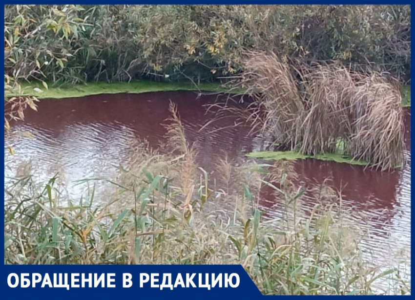 Очередной водоем окрасился в цвет крови в Воронежской области