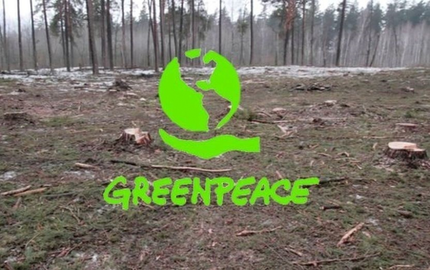 «Greenpeace» о ситуации в заказнике: «Блокнот Воронеж» поднял целый комплекс важных проблем!»