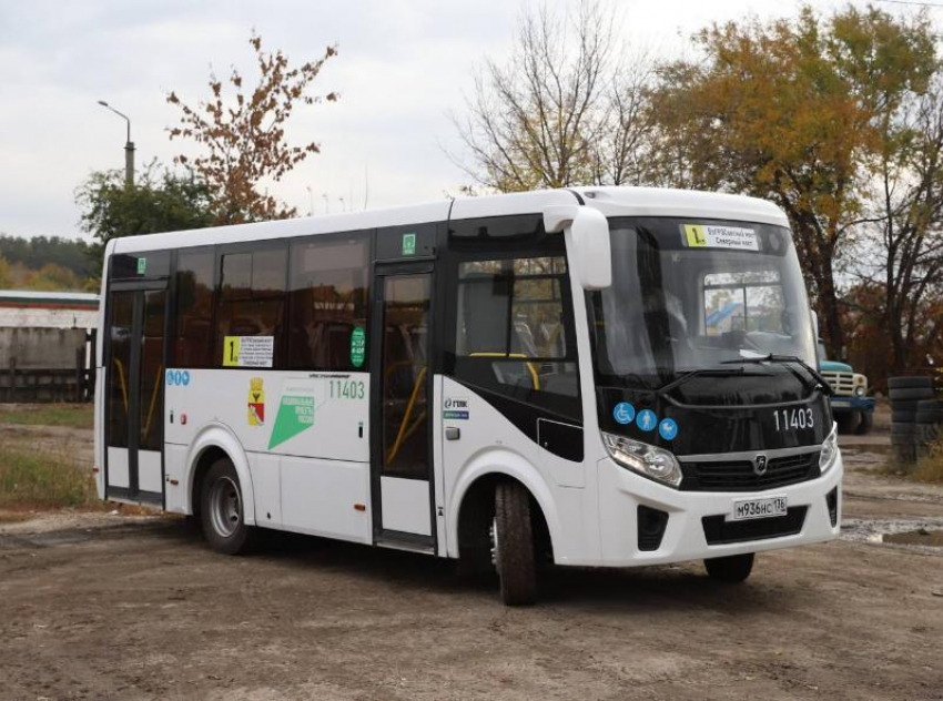 Об убытках воронежского автобусного перевозчика рассказали аудиторы