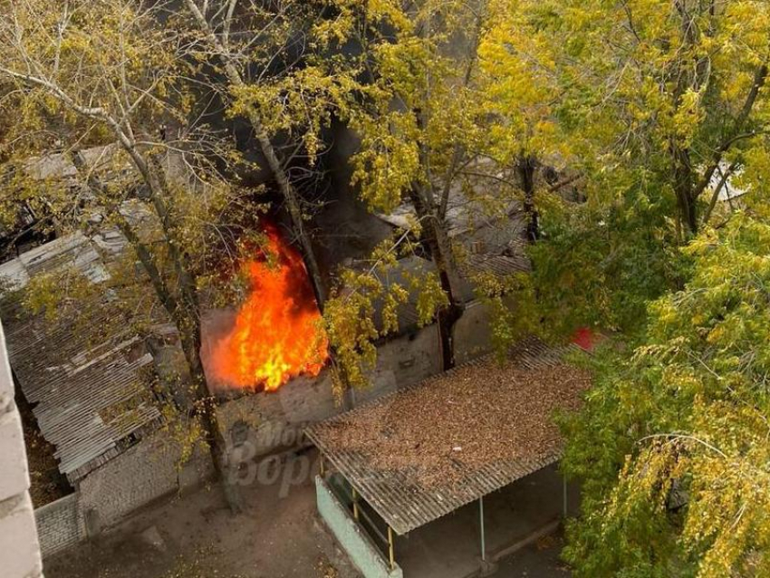 Сильный пожар разгорелся около детского сада в Воронеже – опубликовано видео