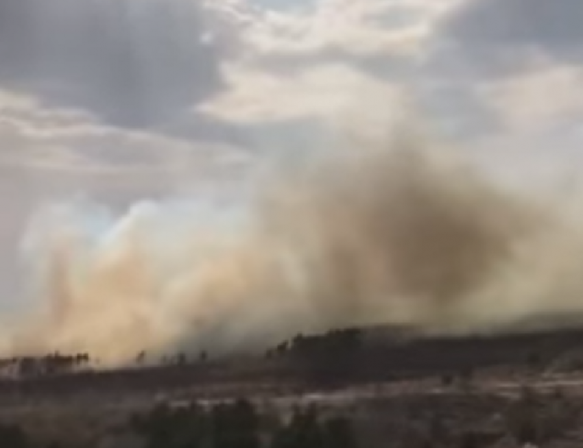 Гигантский пожар на окраине Воронежа сняли на видео