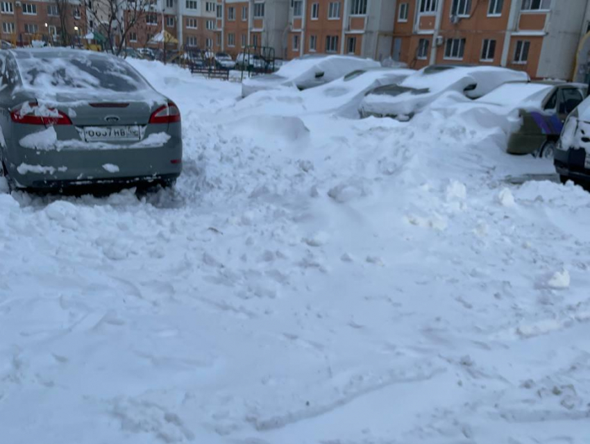 Большой снег показал истинное лицо управляющих компаний в Воронеже — они мертвы