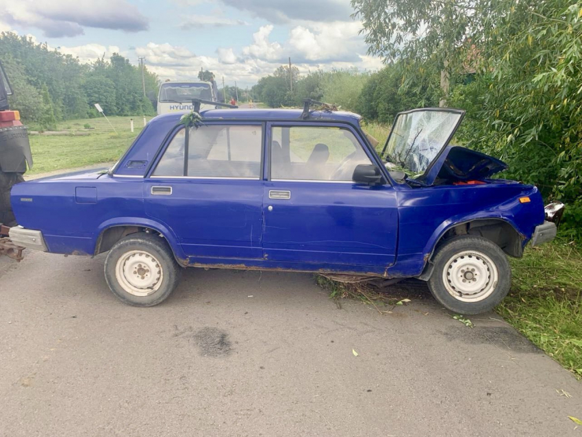 Машина влетела в дерево в Воронежской области – есть пострадавшие 