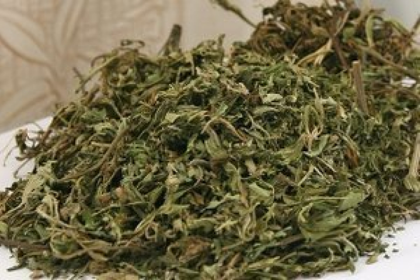 Житель Воронежской области хранил на чердаке 700 граммов марихуаны 