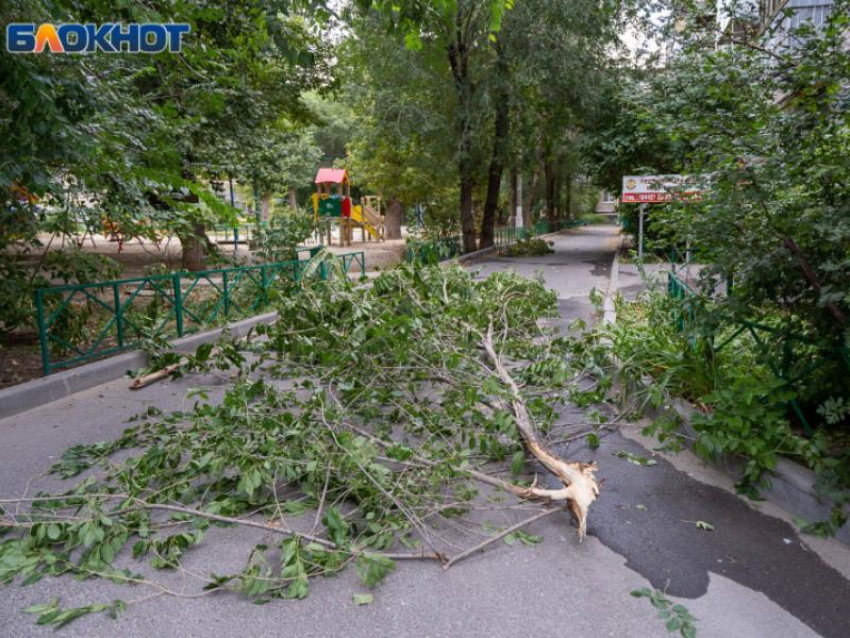 Синоптики предупредили воронежцев о надвигающемся шторме 