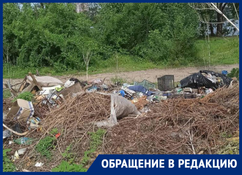 Дурнопахнущий придаток «Алых парусов» раскрыли в Воронеже